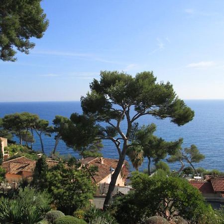 Les Bruyeres Acomodação com café da manhã Saint-Mandrier-sur-Mer Exterior foto