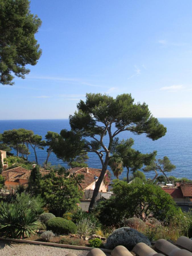 Les Bruyeres Acomodação com café da manhã Saint-Mandrier-sur-Mer Exterior foto